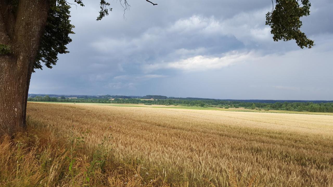 Brzozowa Polana Villa Perlino Buitenkant foto