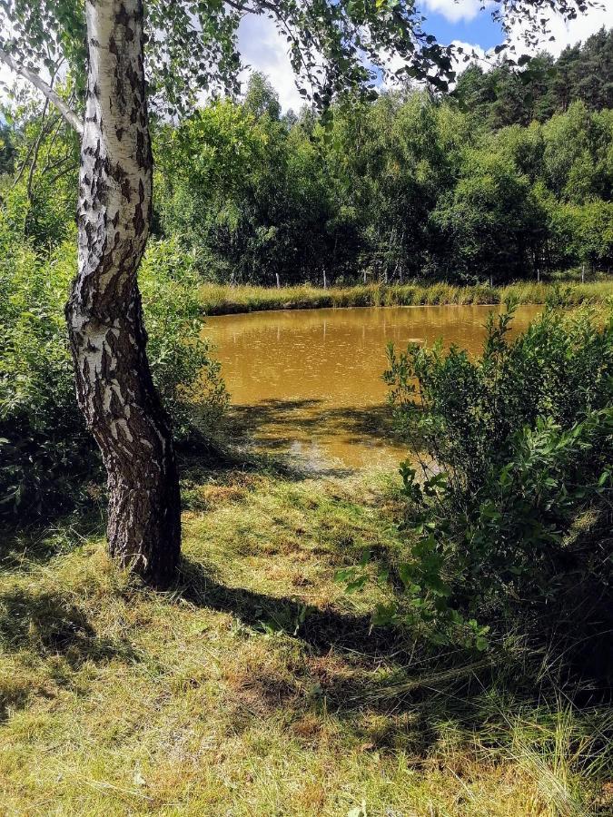 Brzozowa Polana Villa Perlino Buitenkant foto
